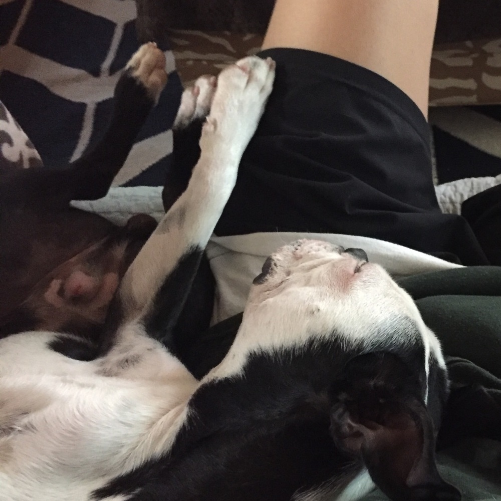 Meet your Posher, Effie